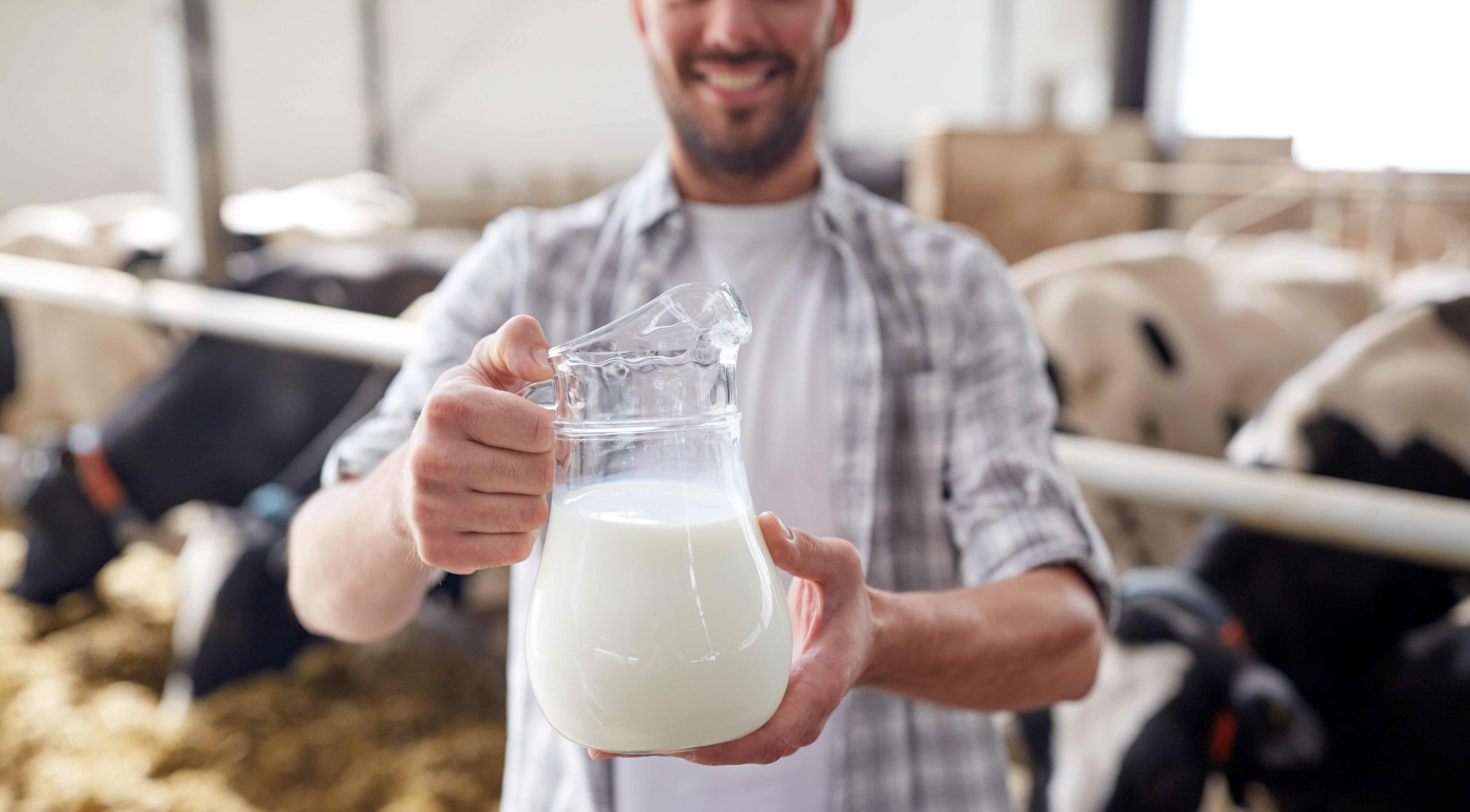 Молоко занявшее первое место. Корова молоко. Молоко ферма. Фермер с молоком. Фермер с молочной продукцией.